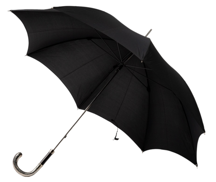 Black Umbrella Png Image Free