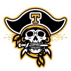 Pirate Skull Png Transparent Image