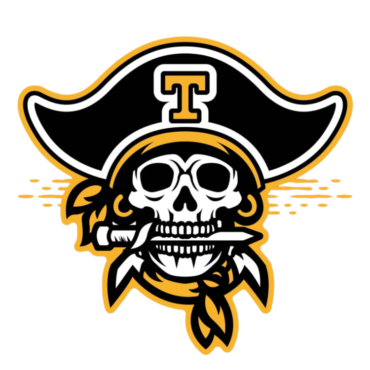 Pirate Skull Png Transparent Image