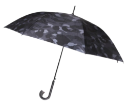 Umbrella Png Cutout Image