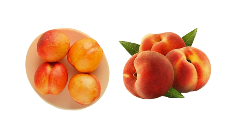 Fruit Peach Png Photo