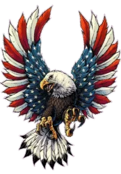American Bald Eagle Png​