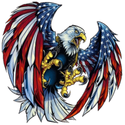 American Eagle Png​