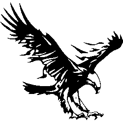 Black Eagle Logo Png​