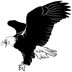 Black Eagle Png