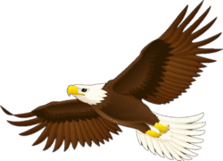 Eagle Fly Png​