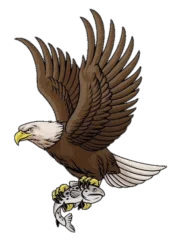 Eagle Png