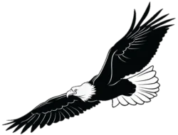 Eagle Tattoo Png​