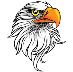 White Eagle Png Logo​