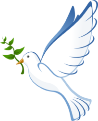 birds-flying-png