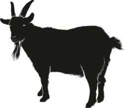 Black Shadow Png - free transparent PNG image, no background, HD download
