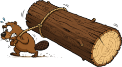 Cartoon Of A Beaver Png - free transparent PNG image, no background, HD download