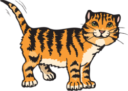 Cat Png - free transparent PNG image, no background, HD download