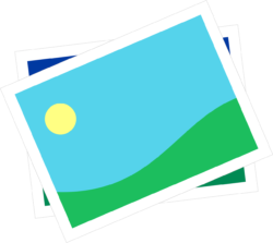 Charizarding Images Png - free transparent PNG image, no background, HD download