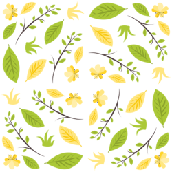 Floral Vector Png Floral Vector Png - free transparent PNG image, no background, HD download
