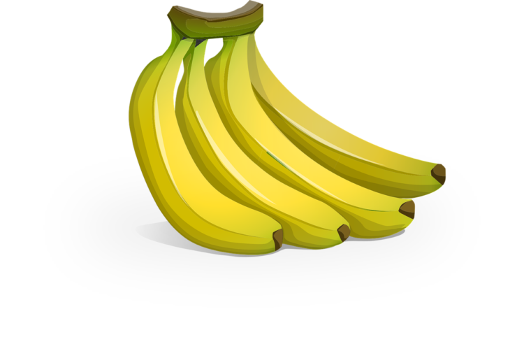 Fruit Png - free transparent PNG image, no background, HD download