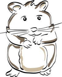 Hamster Logo Png - free transparent PNG image, no background, HD download