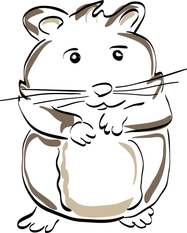 Hamster Logo Png - free transparent PNG image, no background, HD download
