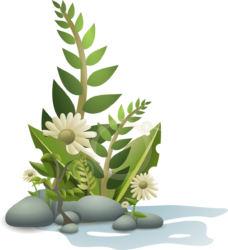 Plant Png - free transparent PNG image, no background, HD download