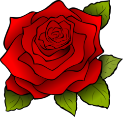 Rose Png - free transparent PNG image, no background, HD download