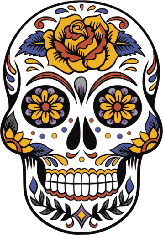 Skull Png - free transparent PNG image, no background, HD download