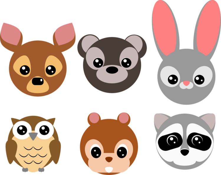 Squirrel Clipart Png - free transparent PNG image, no background, HD download