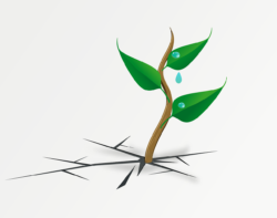 Water Drop Png - free transparent PNG image, no background, HD download