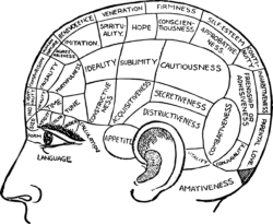 White Hair Texture Png - free transparent PNG image, no background, HD download