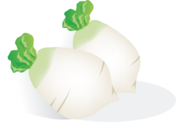 White Png - free transparent PNG image, no background, HD download