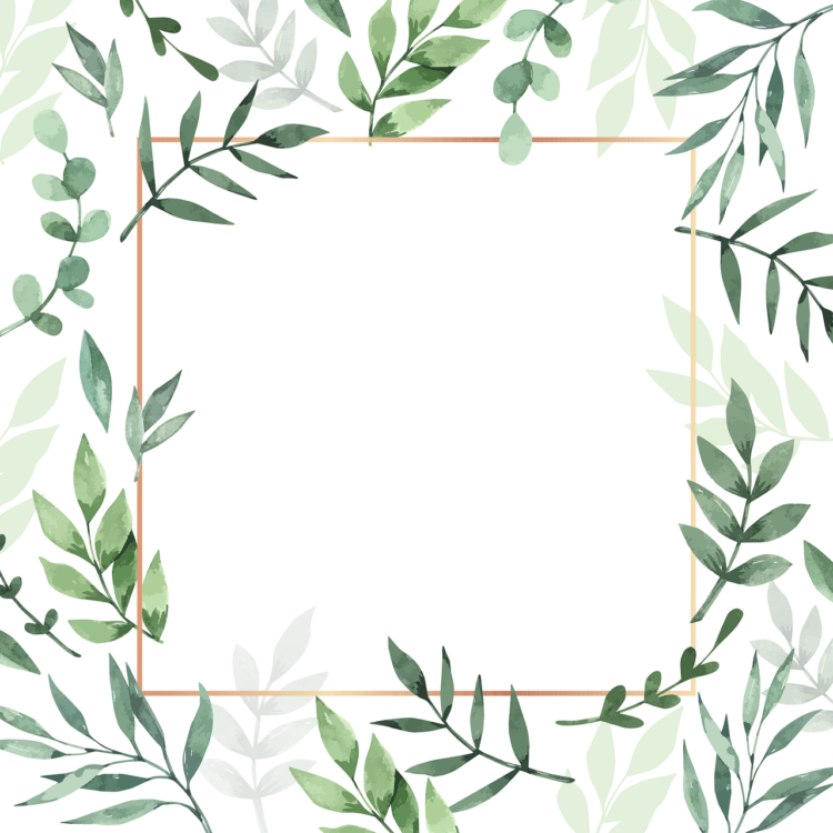 White Square Png - free transparent PNG image, no background, HD download