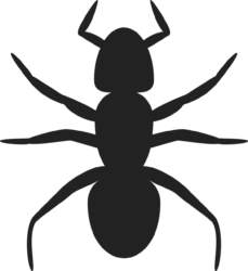 Ant Png - free transparent PNG image, no background, HD download