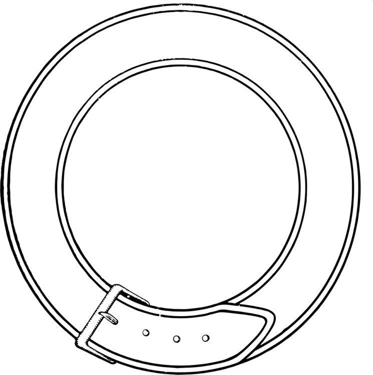 Belt Png - free transparent PNG image, no background, HD download