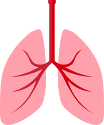 Bloodstream Png - free transparent PNG image, no background, HD download