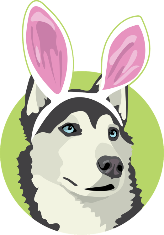 Dog Png - free transparent PNG image, no background, HD download