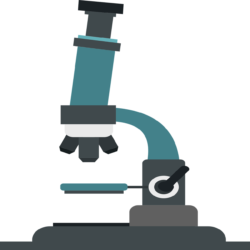 Experience Icon - free transparent PNG image, no background, HD download