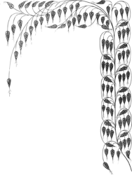 Flower Corner Png - free transparent PNG image, no background, HD download