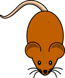 Mice Png - free transparent PNG image, no background, HD download