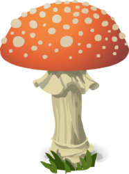 Mushroom Png - free transparent PNG image, no background, HD download