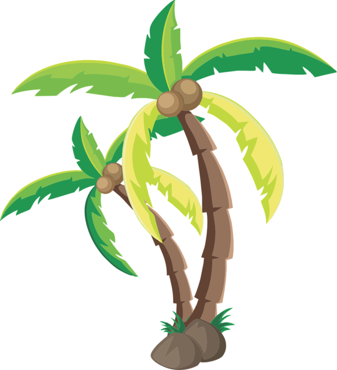 Palm Png - free transparent PNG image, no background, HD download