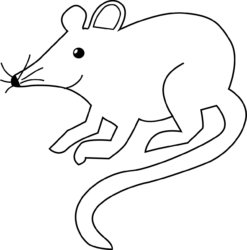Rat Png - free transparent PNG image, no background, HD download
