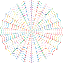 Spider Png - free transparent PNG image, no background, HD download