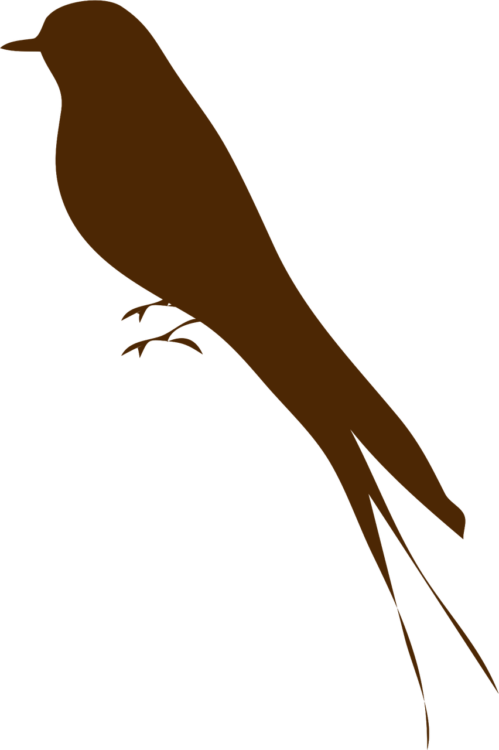 Swift Png - free transparent PNG image, no background, HD download