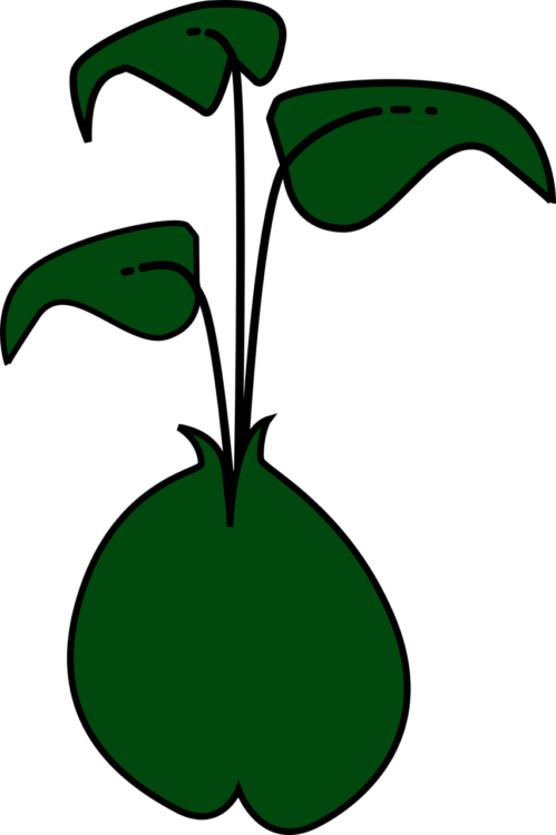 The Offspring Logo - free transparent PNG image, no background, HD download