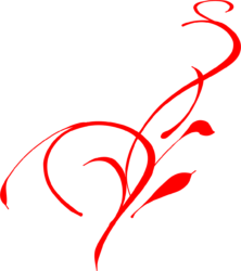 Vine Png - free transparent PNG image, no background, HD download