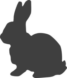 Bunny Ears Png - free transparent PNG image, no background, HD download