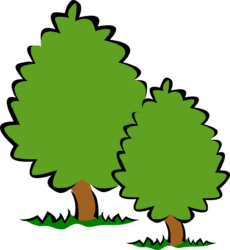 Bush Png - free transparent PNG image, no background, HD download