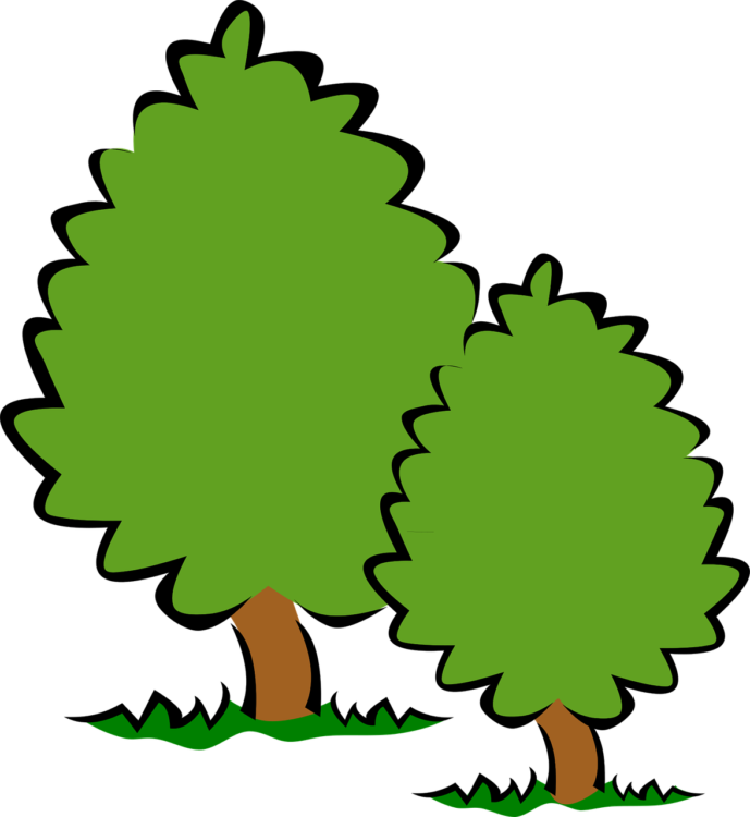 Bush Png - free transparent PNG image, no background, HD download
