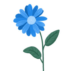 Flower Png Hd - free transparent PNG image, no background, HD download