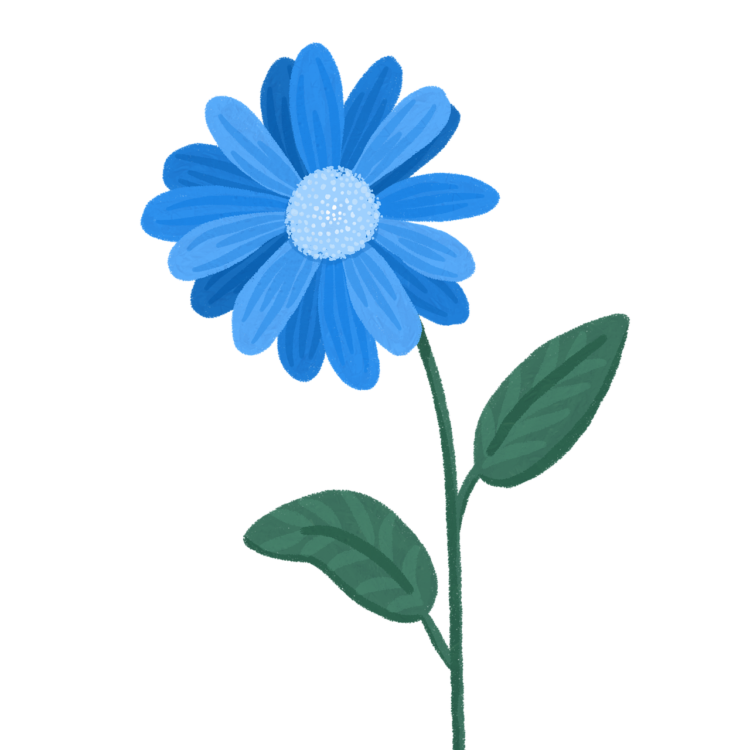 Flower Png Hd - free transparent PNG image, no background, HD download