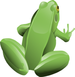 Frog Png - free transparent PNG image, no background, HD download